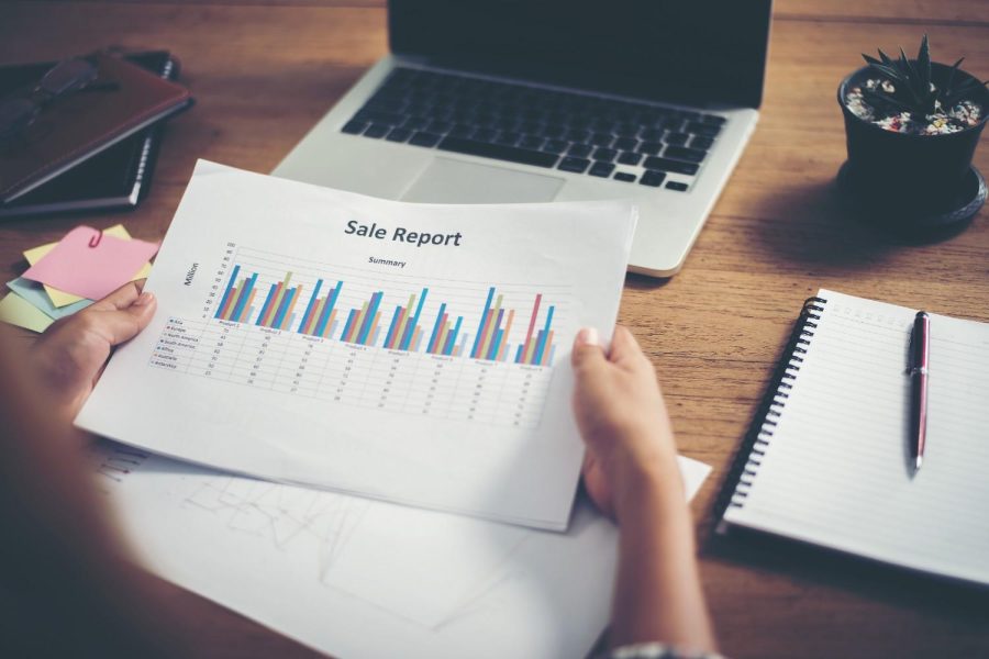 Provide Detailed Monthly Progress Reports